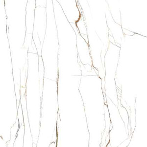 BLOSTER WHITE
