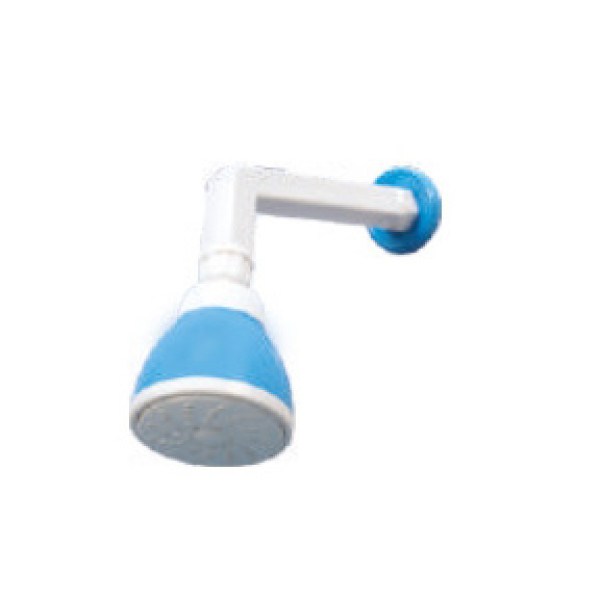PTMT ACCESS-OVERHEAD SHOWER 3" WITH ARM